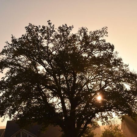 فندق Ferien Hohes Elbufer Schnakenbek المظهر الخارجي الصورة